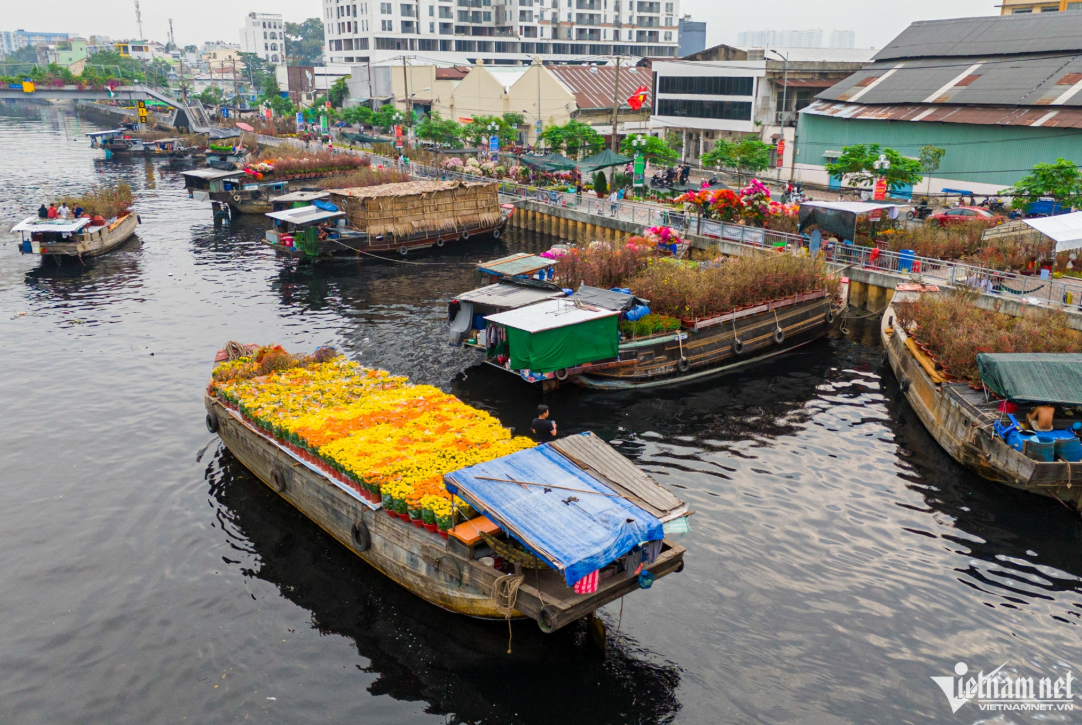 Những ngày cận Tết, hàng chục ghe thuyền mang hoa, cây kiểng từ các tỉnh miền Tây đã cập bến Bình Đông (quận 8) để bày bán. Chợ hoa xuân 