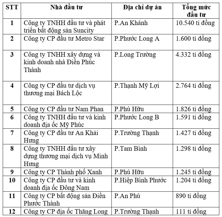 Hơn 33.000 tỉ đồng đầu tư vào Thủ Đức theo quy hoạch mới- Ảnh 3.