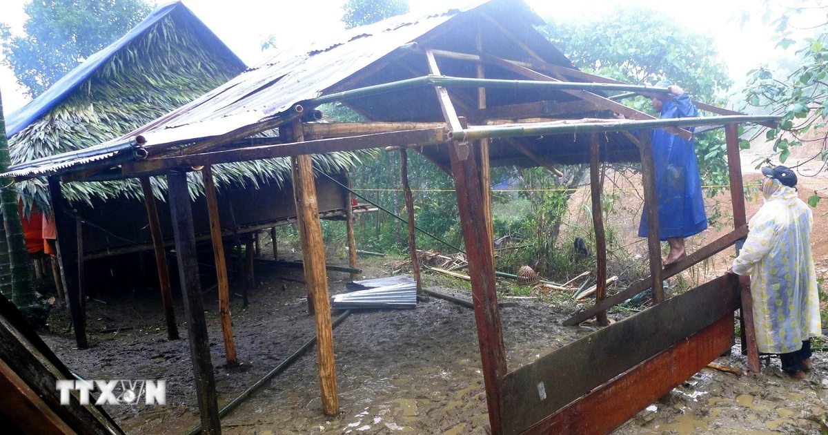 Thành phố Hồ Chí Minh và Bà Rịa-Vũng Tàu là hai địa phương "trắng" hộ nghèo