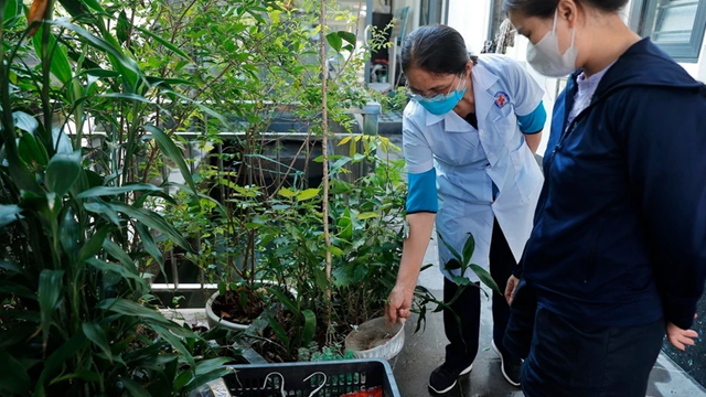 Thành phố Hồ Chí Minh: Cảnh báo nguy cơ dịch bệnh sốt xuất huyết bùng phát sớm