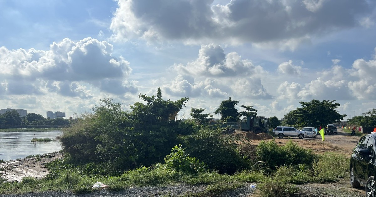 TPHCM: Thành lập Ban Quản lý Phát triển đô thị