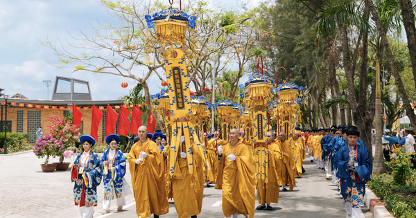 Cây bồ đề chiết từ Bồ đề thiêng sẽ được trồng tại Học viện Phật giáo Việt Nam, TP HCM