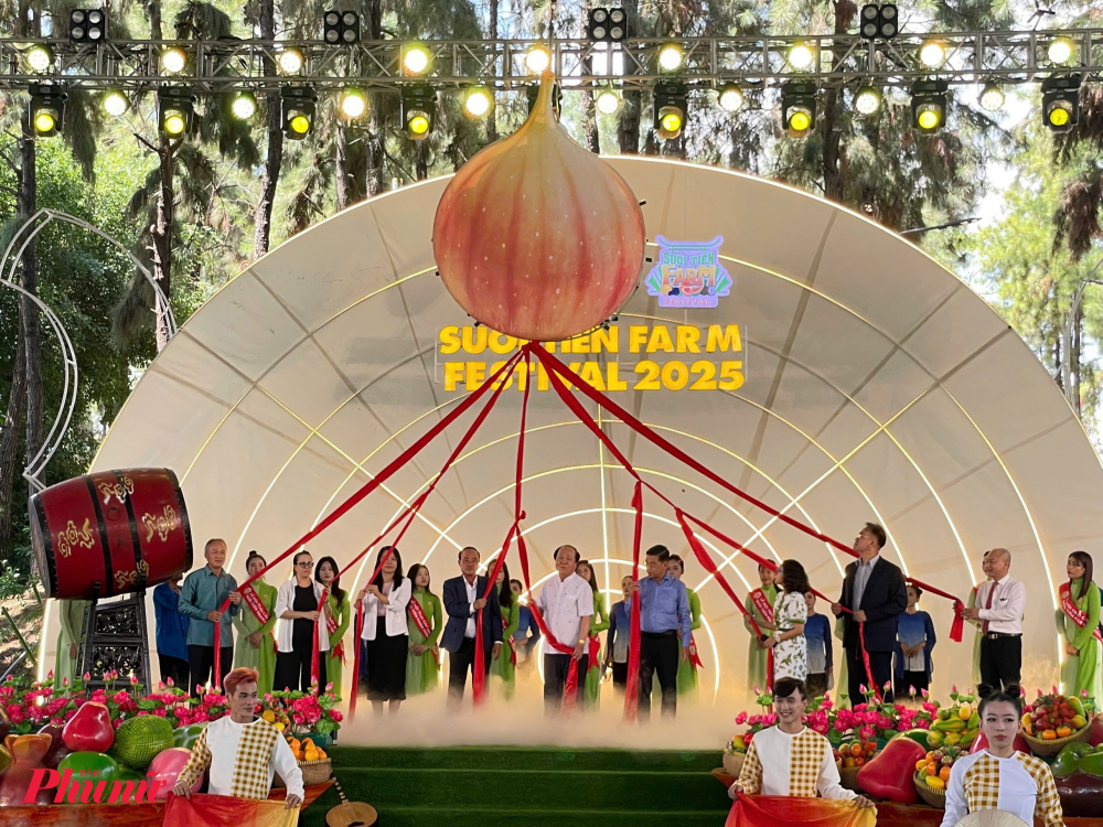 Lễ hội Trái cây Nam Bộ 2025 sẽ diễn ra liên tục đến hết ngày 31/8/2025, với nhiều chương trình nghệ thuật miễn phí phục vụ du khách và các ưu đãi lớn dành cho gia đình, học sinh, đoàn khách đông người.