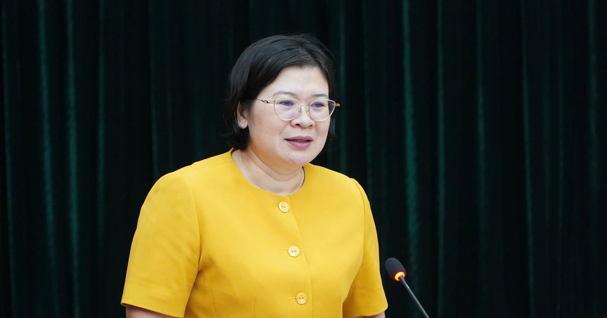 TP.HCM sẽ thông báo phân công tạm thời nhân sự, chuẩn bị vận hành thử 102 xã phường mới