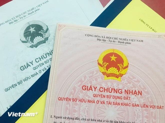 Ảnh minh họa. (Nguồn: Vietnam+) so-do-2706.jpg