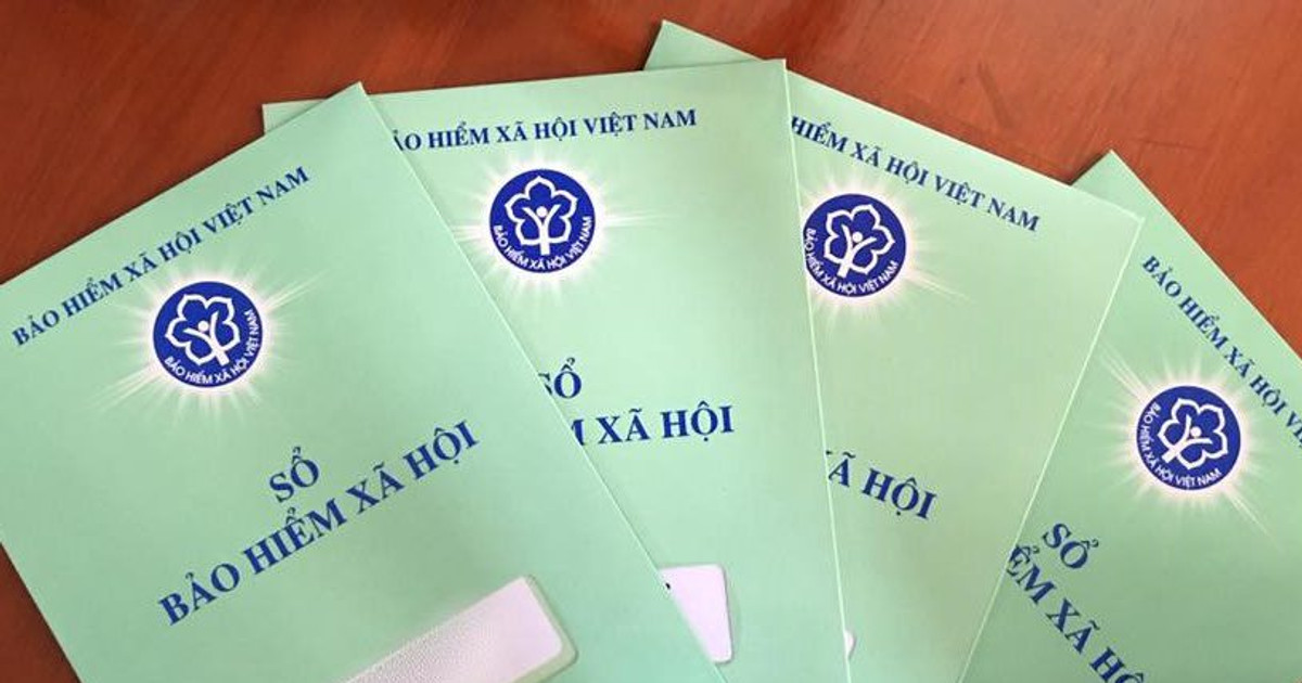 3 điều quan trọng doanh nghiệp ở TP.HCM phải biết về sổ BHXH từ 1.7- Ảnh 1. 3 điều quan trọng doanh nghiệp ở TP.HCM phải biết về sổ BHXH từ 1.7- Ảnh 1.