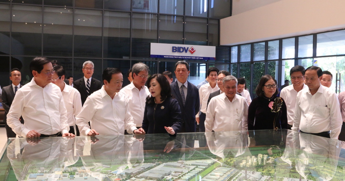 TP.HCM triển khai chính quyền địa phương 2 cấp đến doanh nghiệp