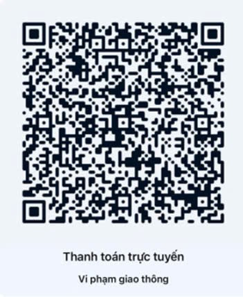 tp-hcm-huong-dan-nguoi-dan-nop-phat-vi-pham-giao-thong-truc-tuyen (11).jpg