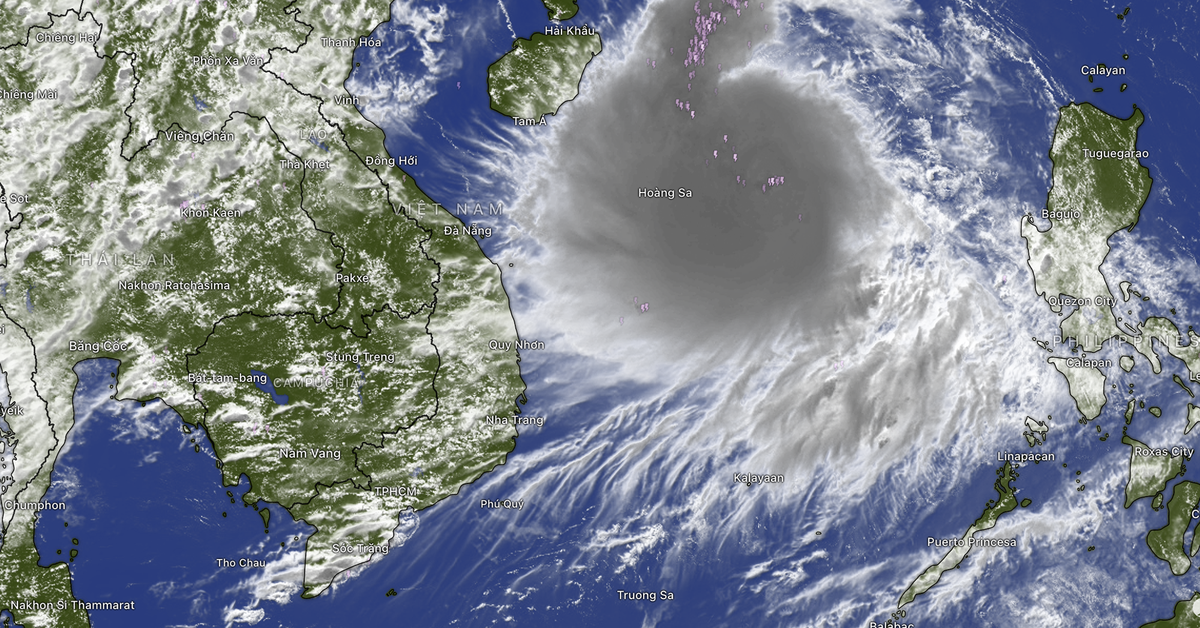 Từ ngày 24 đến 26-8, TP.HCM và Nam Bộ mưa to do ảnh hưởng xa bão số 5