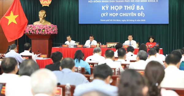 Thường trực HĐND TP HCM triệu tập kỳ họp chuyên đề