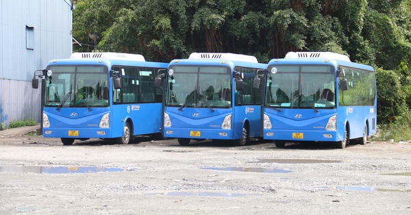 TP HCM nâng cấp giao thông công cộng với 2 tuyến xe mới