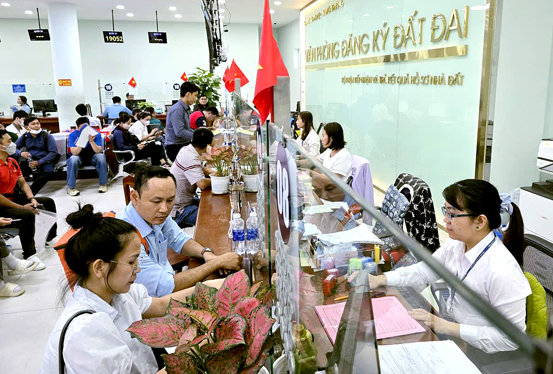 TP.HCM khuyến nghị người dân phối hợp làm sạch dữ liệu đất đai - Ảnh 1.