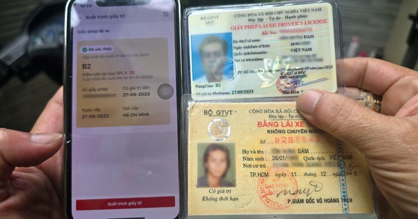 CSGT TP HCM kêu gọi người dân cung cấp thông tin giấy phép lái xe