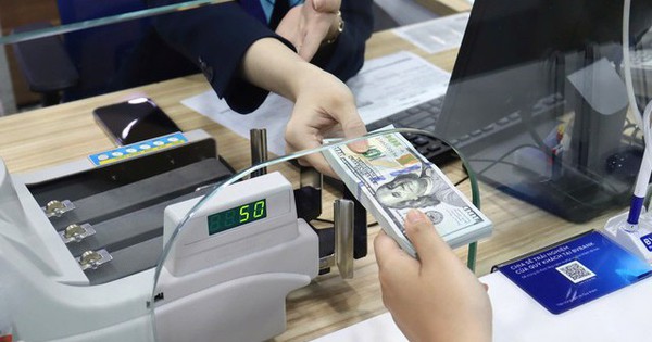 Gần 8 tỷ USD kiều hối chuyển về TPHCM trong 9 tháng