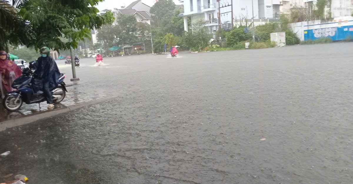 TPHCM chủ động các phương án ứng phó với bão số 12