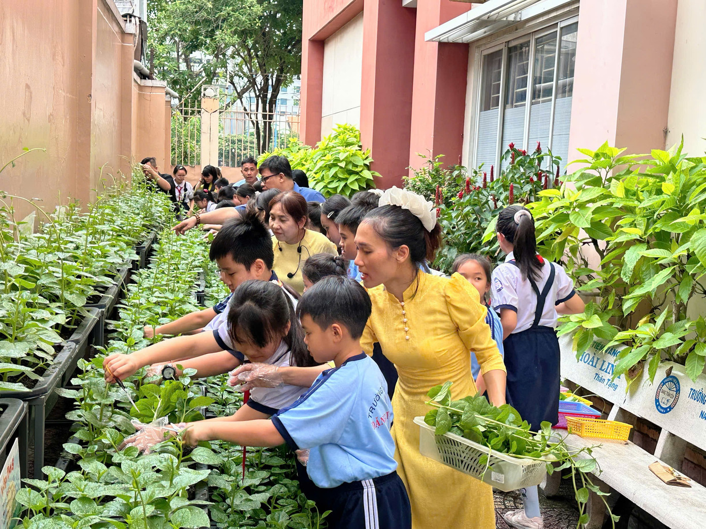 Tổng hợp thông tin báo chí liên quan đến TP. HCM ngày 30/10/2025
