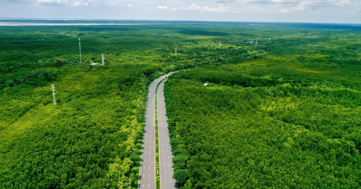 TPHCM gìn giữ khu dự trữ sinh quyển, làm công viên rừng ngập mặn Cần Giờ