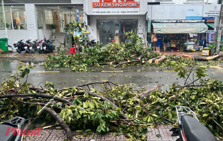 TPHCM chủ động ứng phó với áp thấp nhiệt đới có thể mạnh lên thành bão số 15