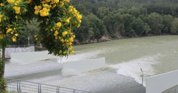 TPHCM: Chủ động điều tiết hồ chứa, bảo đảm an toàn cho hạ du