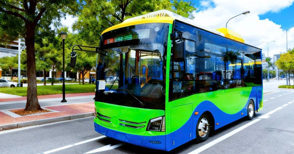 Côn Đảo lần đầu có xe buýt kết nối trung tâm đảo - sân bay