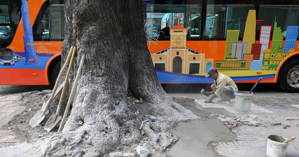 Vỉa hè trung tâm TPHCM khoác “áo mới” trước Tết Bính Ngọ 2026