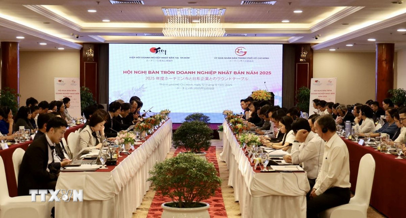 会議の様子。(写真:Xuan Anh/VNA)