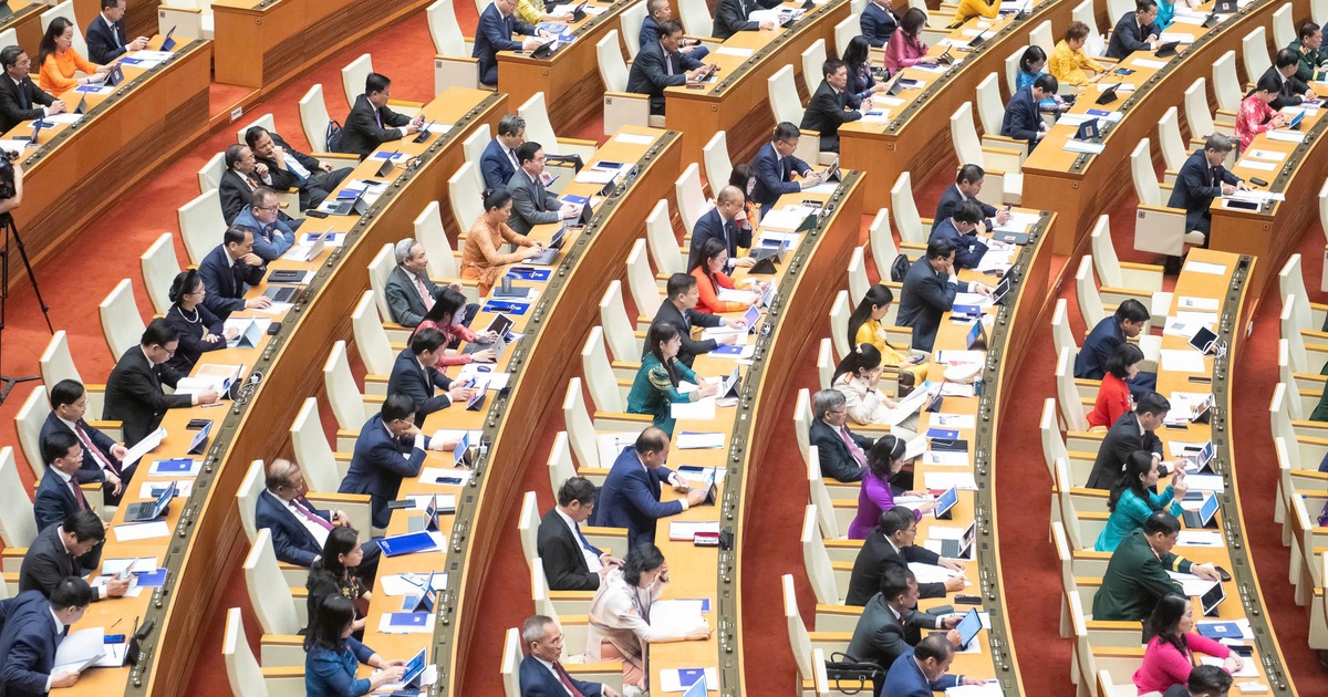 TP.HCM tiếp nhận hồ sơ ứng cử đại biểu Quốc hội, HĐND từ ngày 15.12