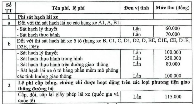 sát hạch lái xe - Ảnh 2.