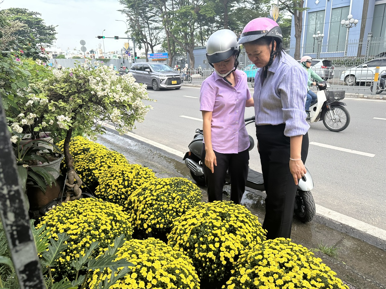 Hoa tết tấp nập xuống phố, giá không tăng - Ảnh 1.