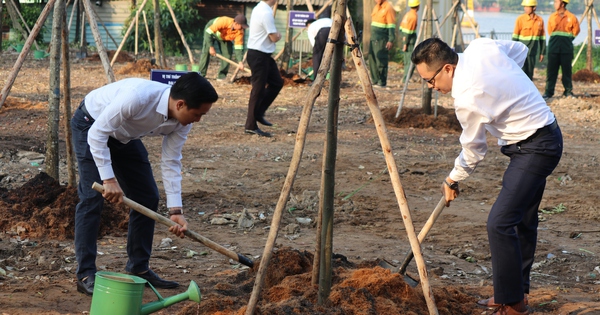 TP.HCM vận hành trung tâm điều hành thông minh trong thi hành án dân sự