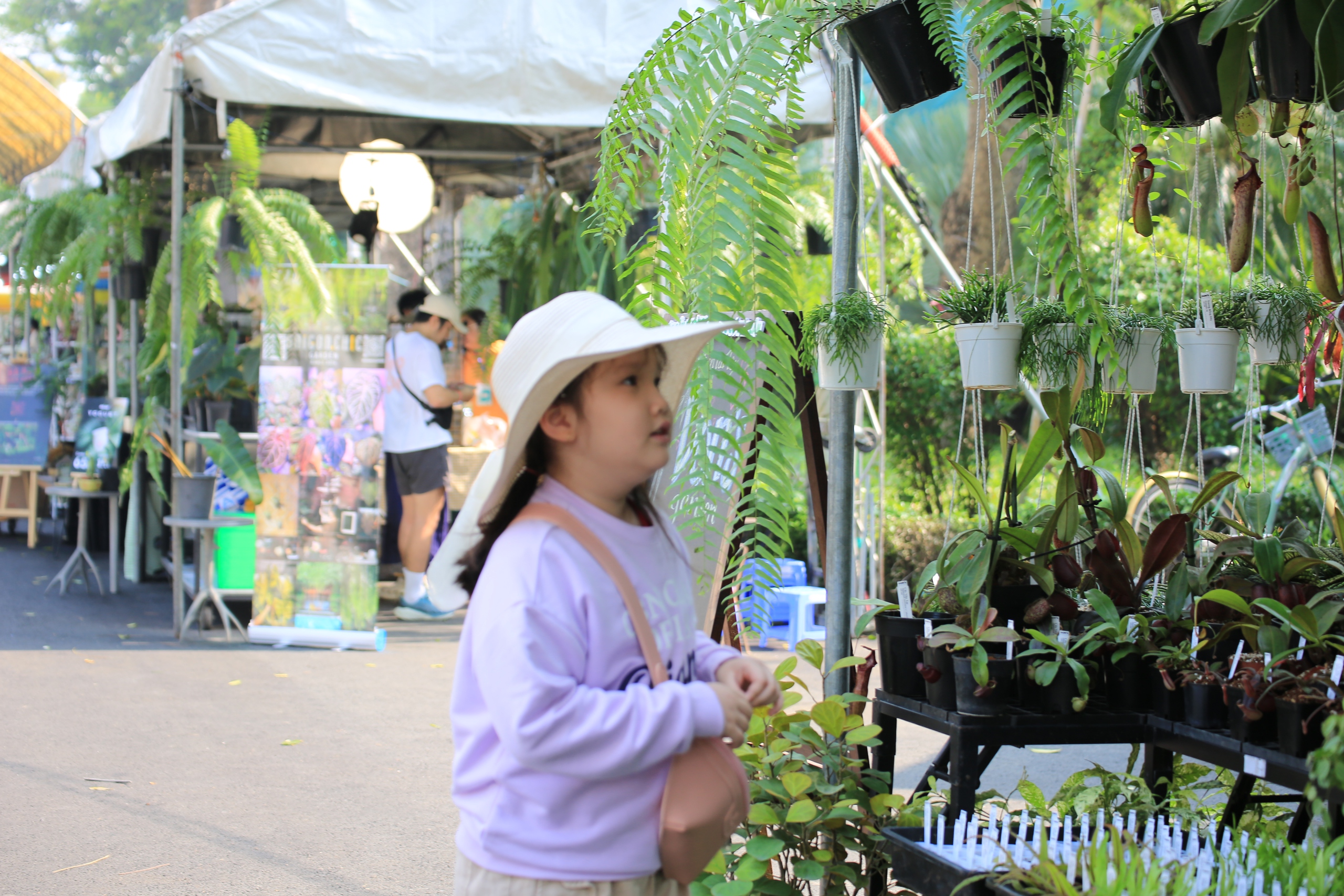 Triển lãm kiểng lá thu hút đông đảo khách tham quan tại Thảo Cầm Viên Sài Gòn - Ảnh 4.