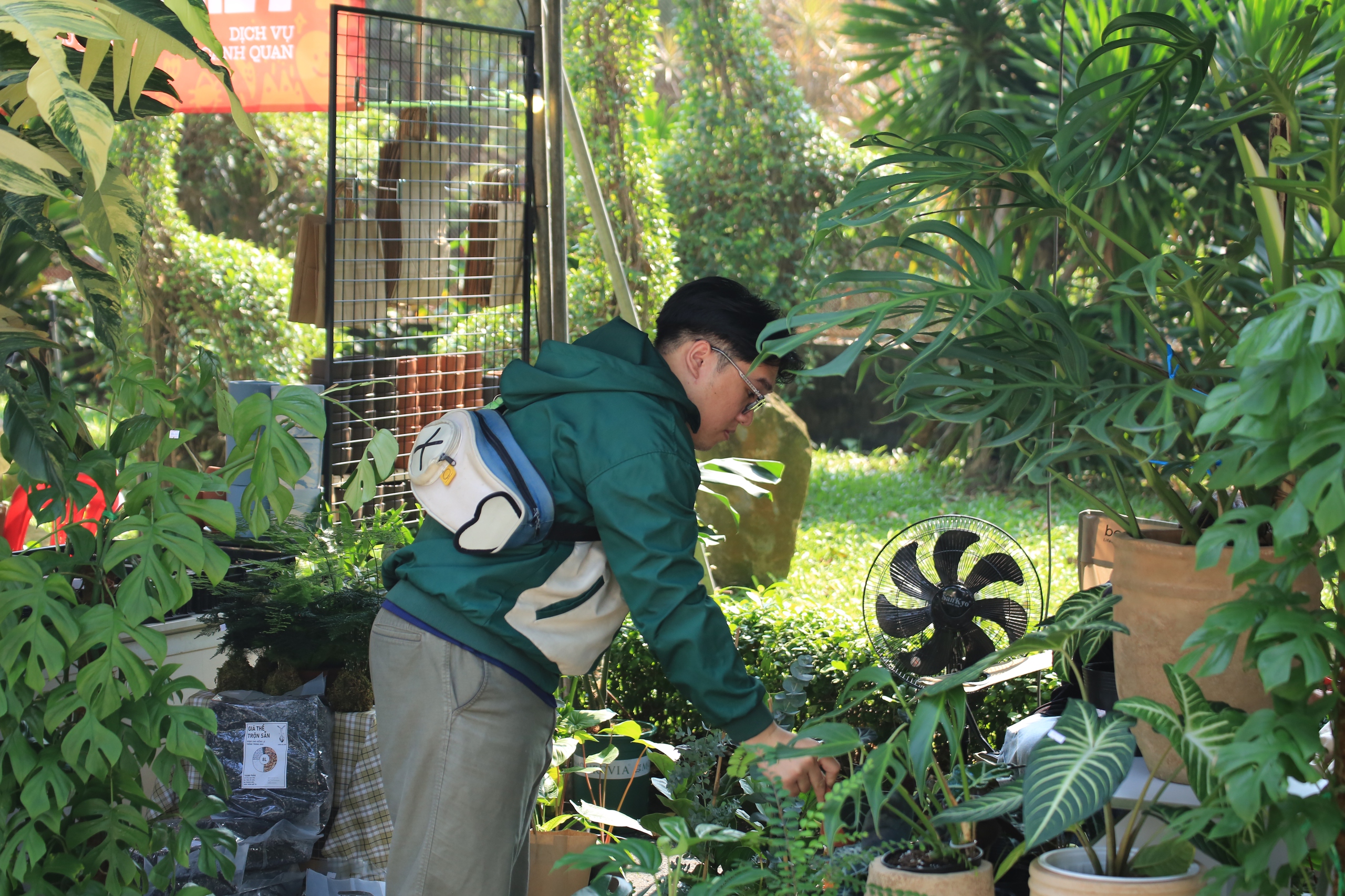 Triển lãm kiểng lá thu hút đông đảo khách tham quan tại Thảo Cầm Viên Sài Gòn - Ảnh 3.