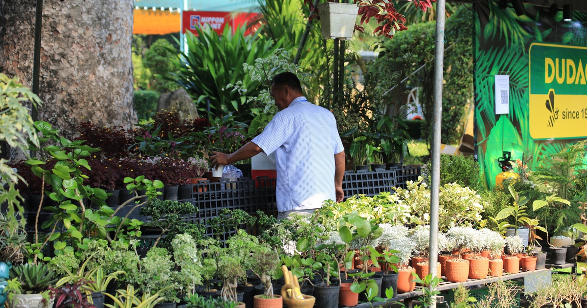 Triển lãm kiểng lá 'Nghe lá hoa kể chuyện' hút khách tại Thảo Cầm Viên