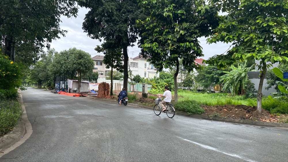 Một khu dân cư tại xã Bình Hưng, TPHCM