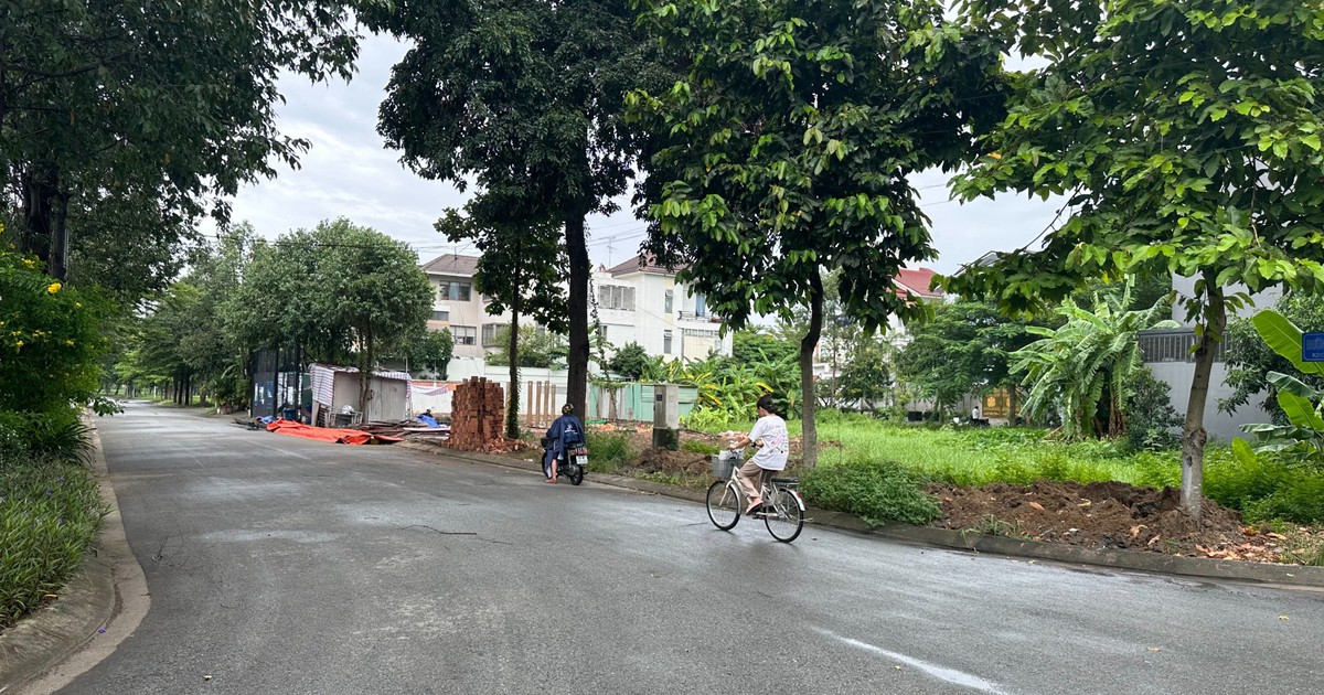 TPHCM: Đẩy nhanh phủ kín quy hoạch phân khu, quy hoạch chi tiết