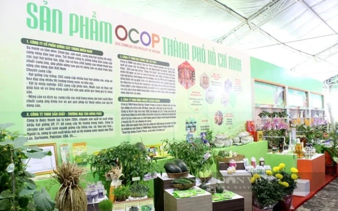 Screenshot 2026-01-15 093000