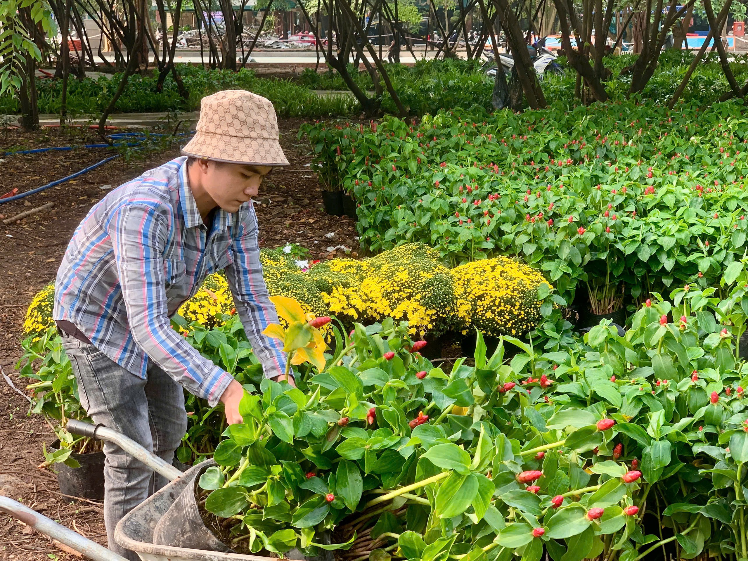 Chỉ còn 2 ngày nữa, TP.HCM sẽ có thêm một công viên phục vụ người dân- Ảnh 4.