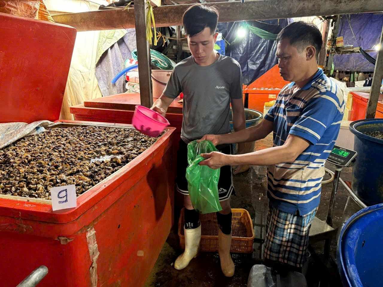 Công an TPHCM triệt phá đường dây ngâm 3.000 tấn thịt ốc bằng hóa chất