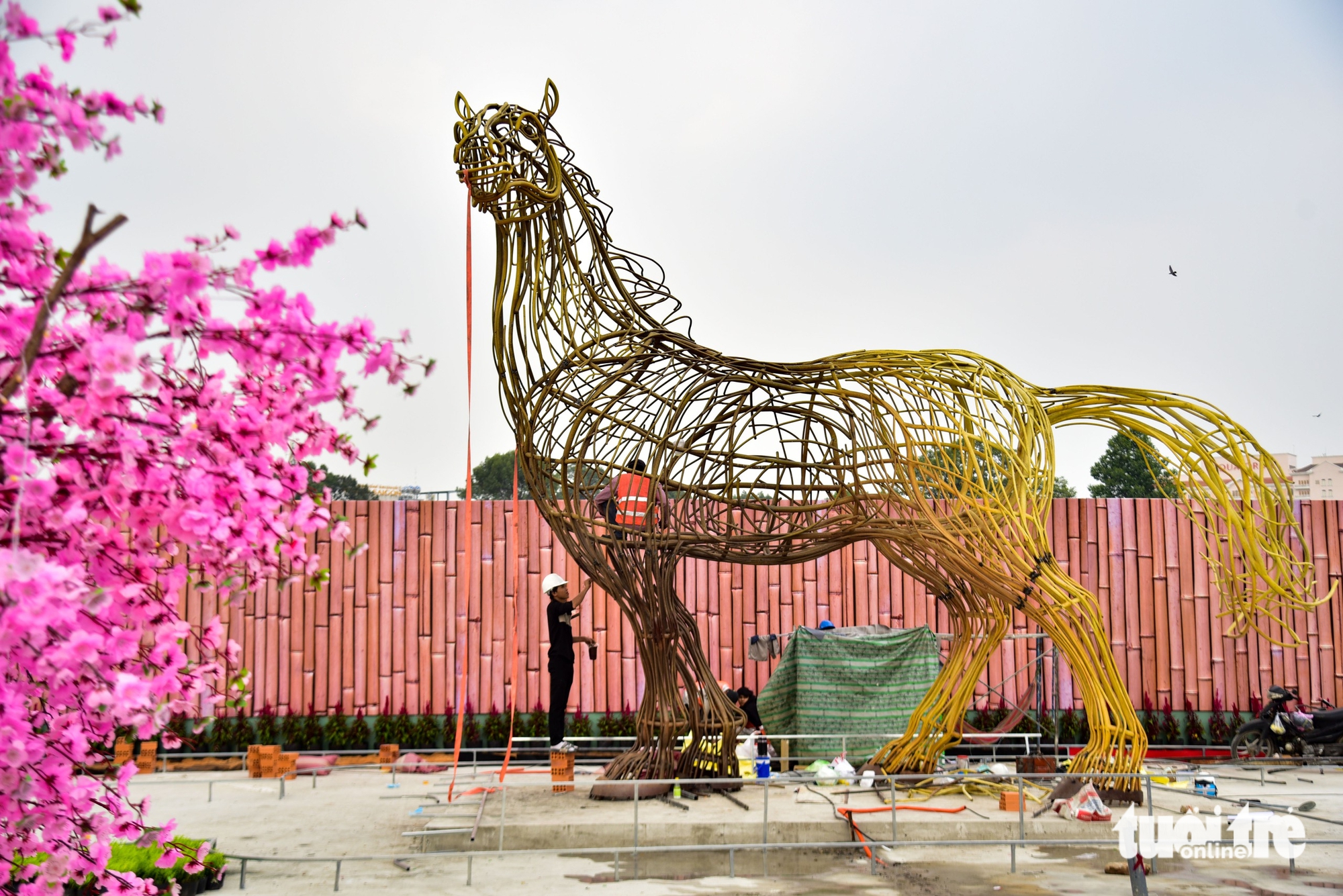 đất vàng - Ảnh 1.