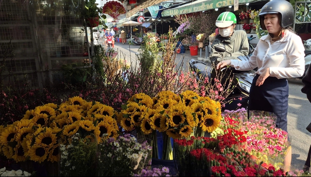 Tổng hợp thông tin báo chí liên quan đến TP. Hồ Chí Minh ngày 4/2/2026