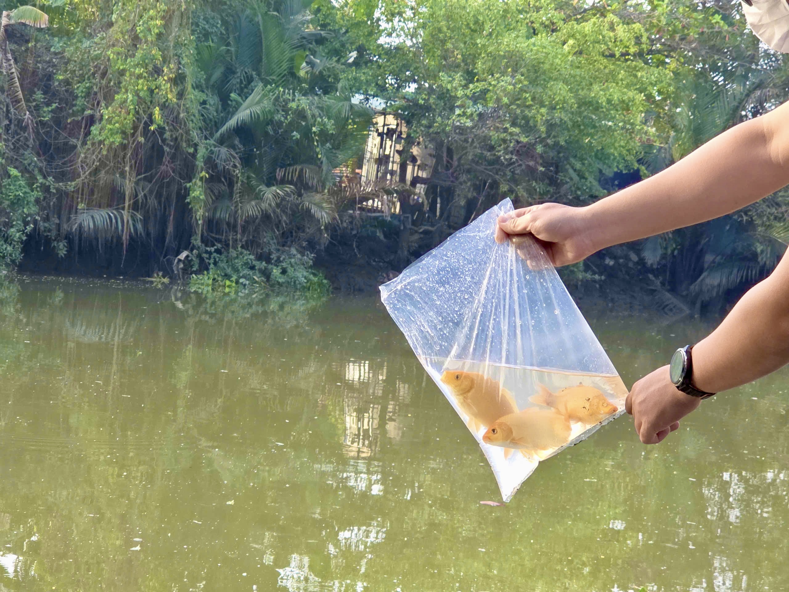 Người dân TP HCM đi thả cá chép từ sáng sớm - Ảnh 13.