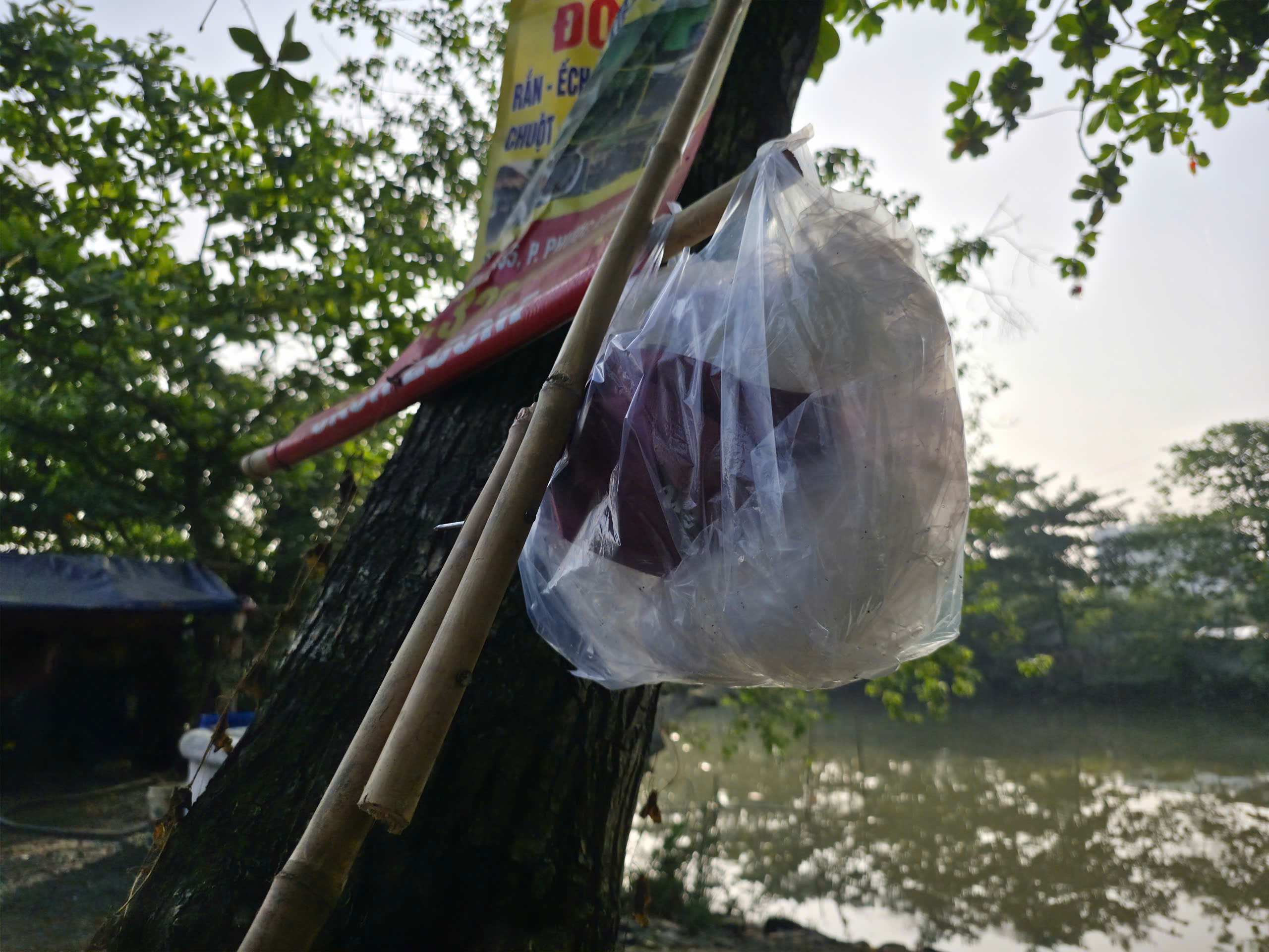 Người dân TP HCM đi thả cá chép từ sáng sớm - Ảnh 14.