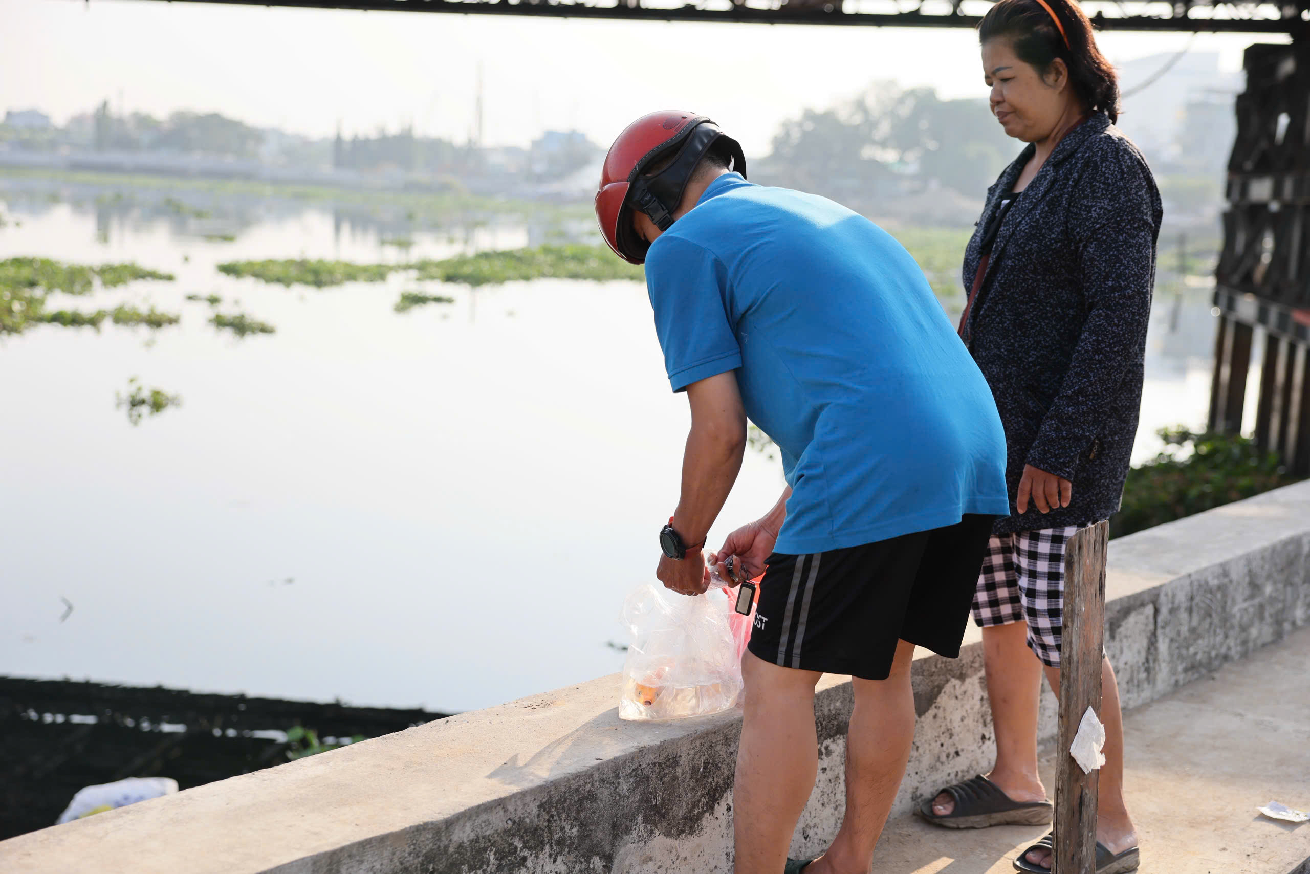 Người dân TP HCM đi thả cá chép từ sáng sớm - Ảnh 3.