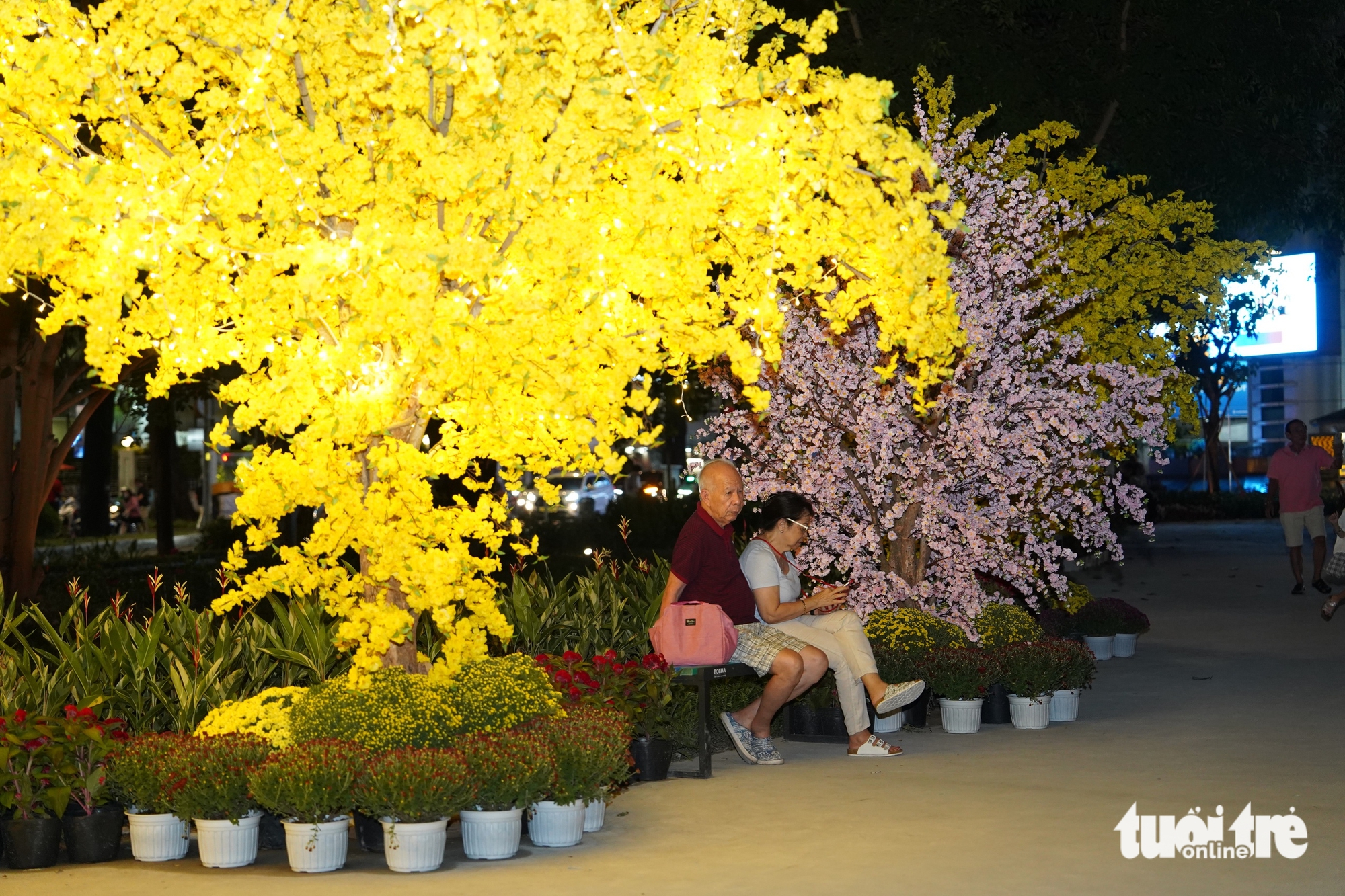 công viên - Ảnh 4.