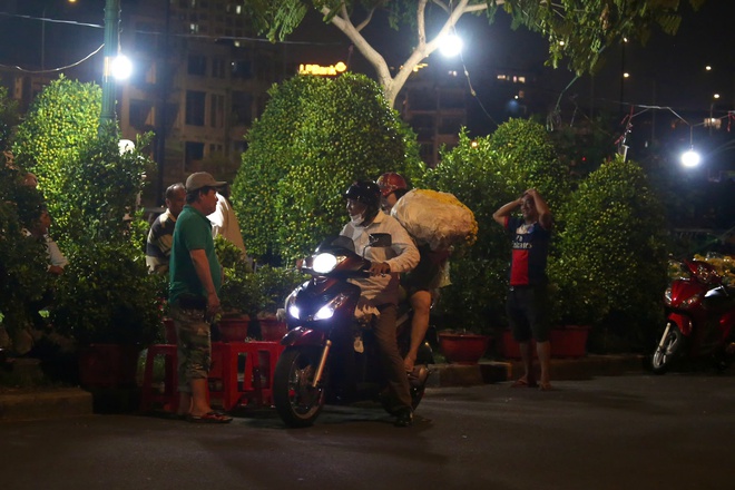 TPHCM: Khai mạc Chợ hoa xuân 