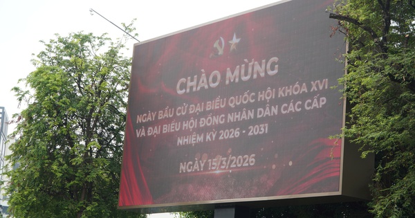 TPHCM tổ chức bầu cử đại biểu Quốc hội và HĐND sớm vào mùng 10 Tết Bính Ngọ