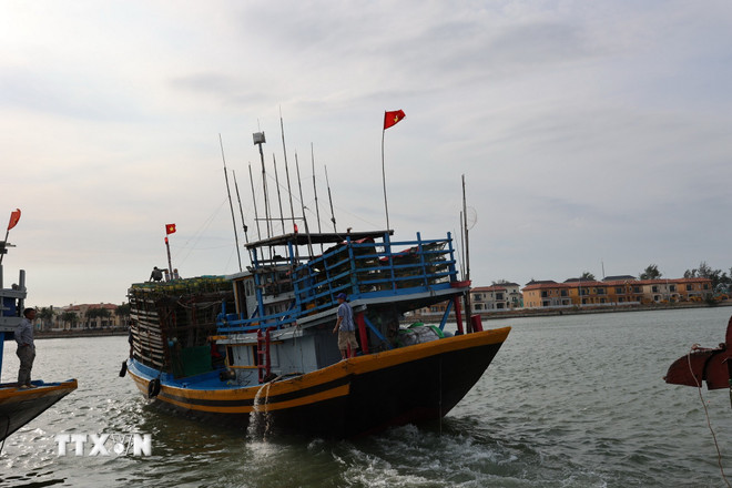 Tàu cá xuất bến đầu năm tại cảng cá Lộc An, xã Phước Hải. (Ảnh: Hoàng Nhị/TTXVN) ttxvn-ngu-dan-tp-ho-chi-minh-ron-rang-mo-bien-dau-nam3.jpg