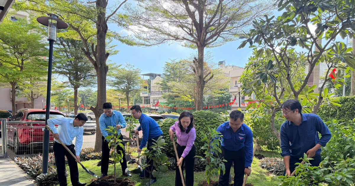 TP.HCM: Khuyến khích 'mạn đàm tiểu sử' để cử tri tìm hiểu kỹ về người ứng cử