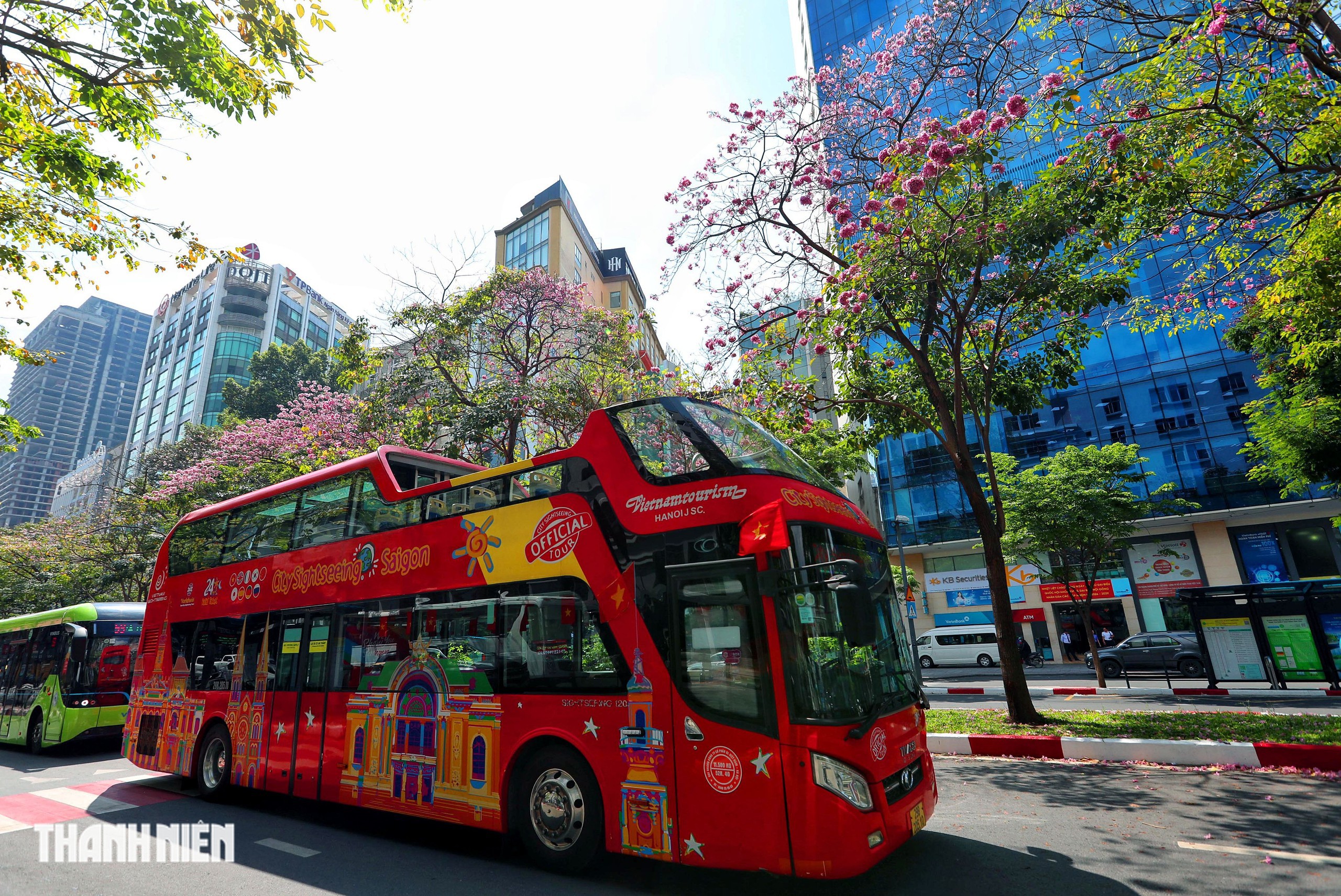 Hoa kèn hồng nở rộ giữa trung tâm TP.HCM, nhuộm hồng đường Hàm Nghi - Ảnh 4.