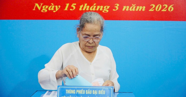 99% cử tri TPHCM đi bỏ phiếu bầu cử